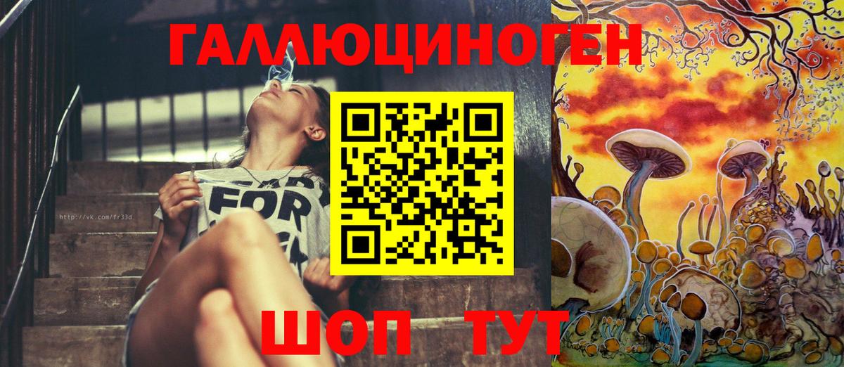 Псилоцибиновые грибы Psilocybe Уссурийск