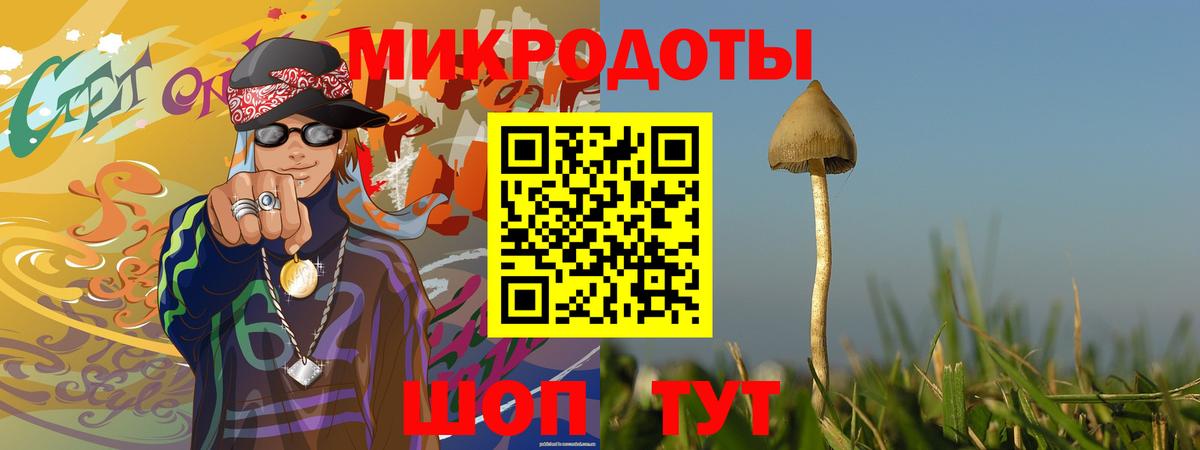 Псилоцибиновые грибы GOLDEN TEACHER  Вход с VPN  Уссурийск 