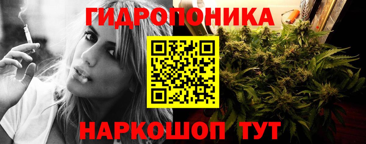 Шишки марихуана план  Конопля Bruce Banner  Бошки марихуана White Widow  Уссурийск  Вход с VPN  Бошки Шишки конопля 